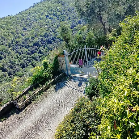 Πανσιόν La Stanza Sul Golfo Dei Poeti 3*